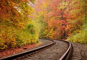 Everything You Need to Know About Taking a Fall Foliage Rail Vacation