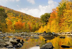 3 Unique Places to Visit in West Virginia