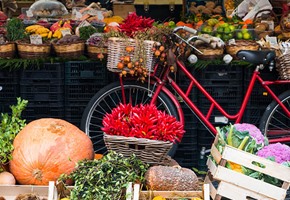 Experience Rome Like a Local