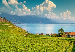 Genevas Hidden Gems
