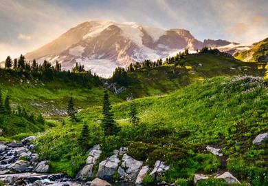 Mount Rainier Mount Rainier