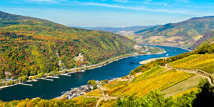 Rhine