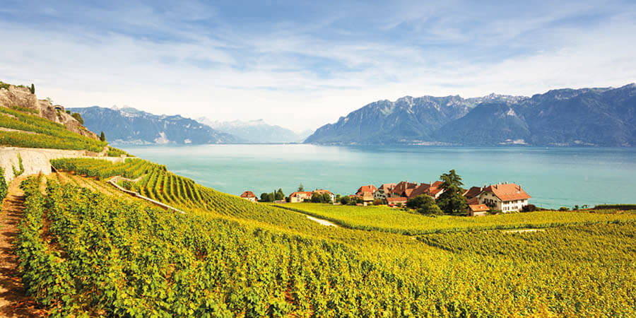 At leisure aside Lake Geneva in Montreux