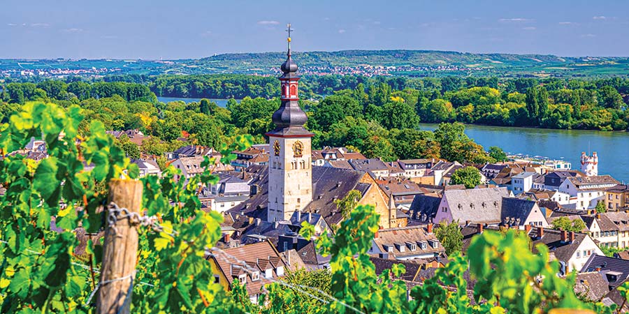 Explore the culture of Rüdesheim