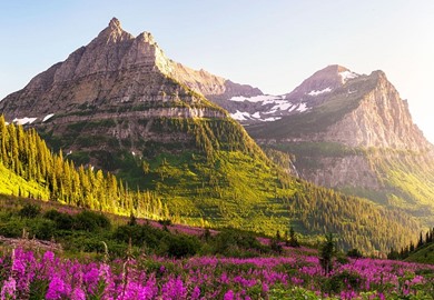 Glacier National Park