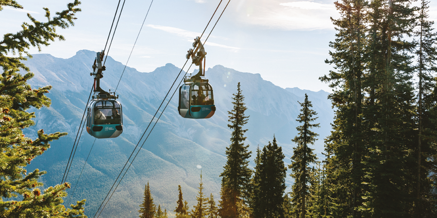 Enjoy a range of optional excursions