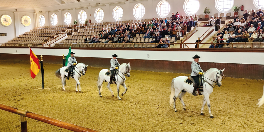 A cultural horse dancing performance features three white horses.