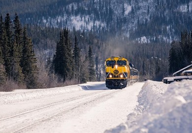 Aurora Winter Train