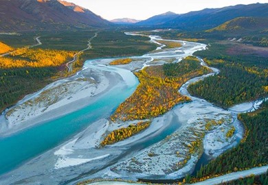 Denali National Park