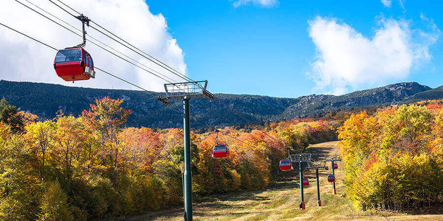 Stowe Gondola