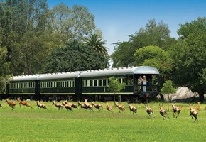 Wildlife Tours: Putting Nature at the Forefront of Adventure