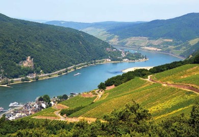 Rhine