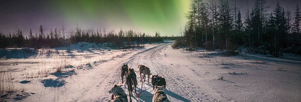 Northern Lights Sale