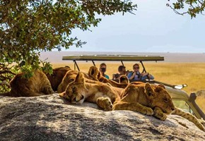 Africa