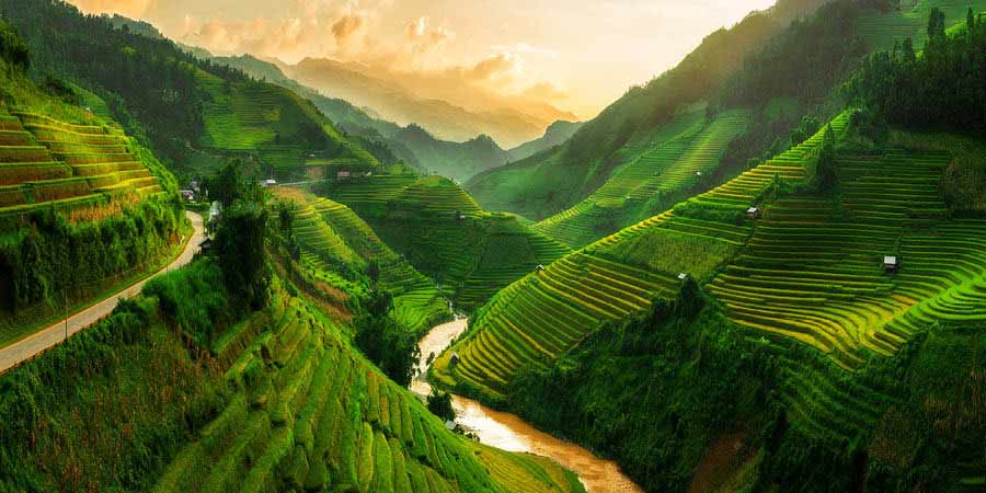 Vietnam