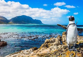 South Africa