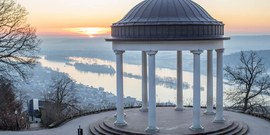 Sail through the spectacular Rhine Gorge