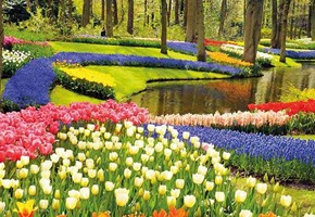 Keukenof Gardens