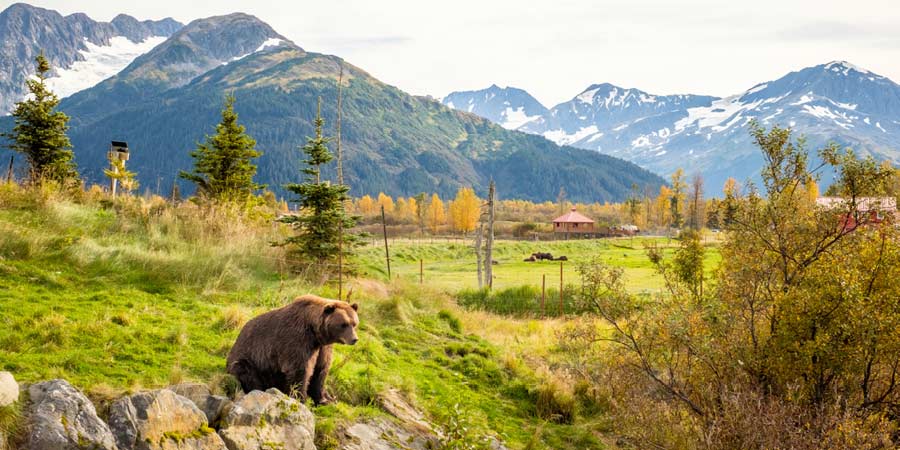 Alaska Wildlife Conservation Center