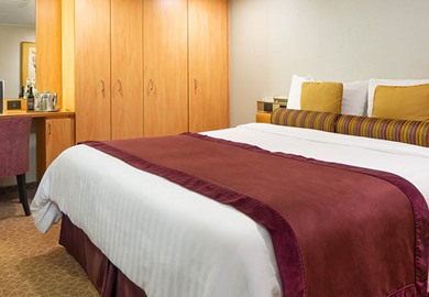 MS Zuiderdam Cabin DS | Vacations by Rail