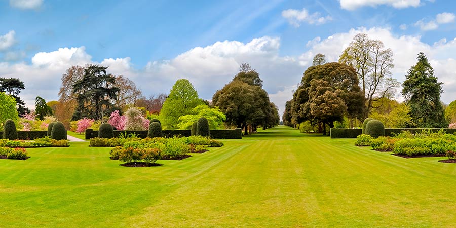 Spend an afternoon at the Royal Botanical Gardens, Kew