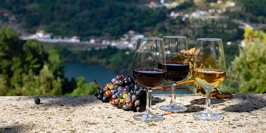 Following the port wine route