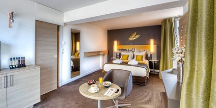 Hotel Mercure Avignon Centre Palais des Papes, Avignon