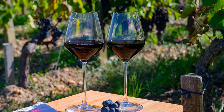 Tasting the great wines of France and Spain