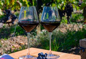 Arc De Triomphe Paris, France