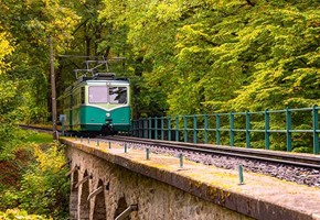 Rhine In Flames Koblenz