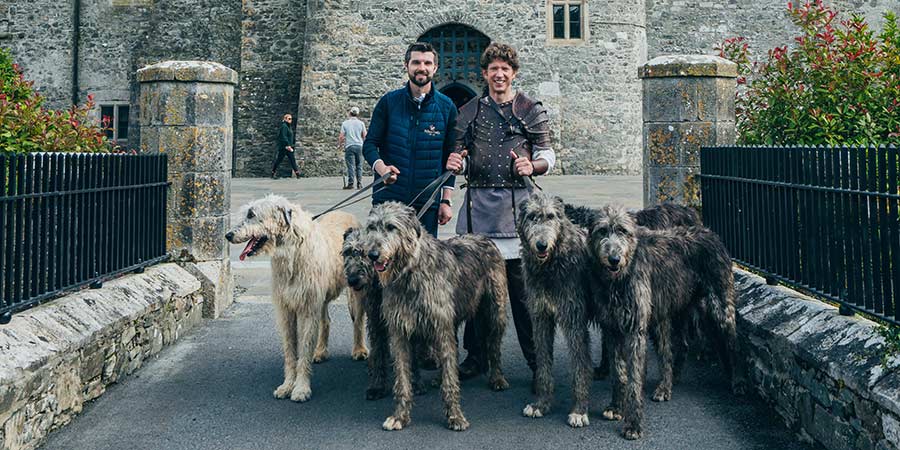 Meeting Irish wolfhounds at a medieval castle
